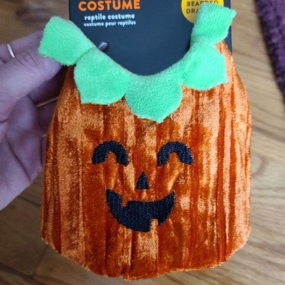 Thrills & Chills Reptile Pumpkin JackOLantern Halloween Costume Bearded Dragon - Picture 2 of 3